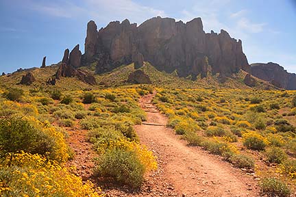 McDowell Mountain Regional Park, February 12, 2015